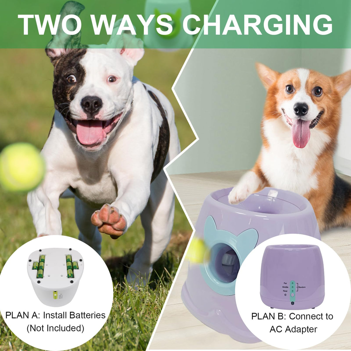 MKSY Automatic Dog Ball Launcher - Interactive Pet Toy with Balls