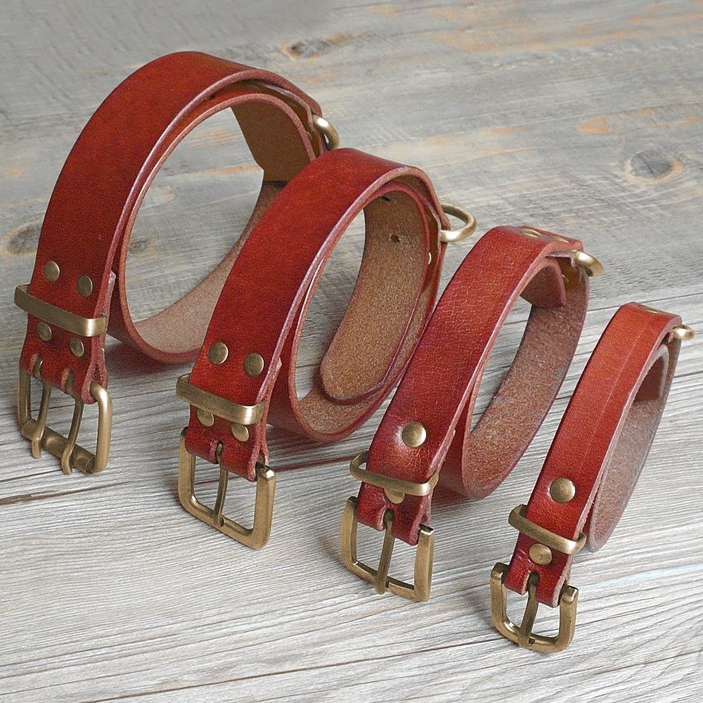 Genuine Leather Dog Collar with D-Ring & Buckle