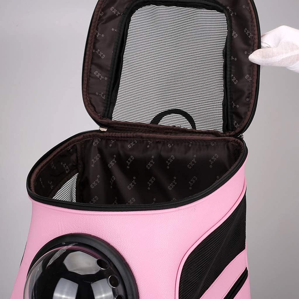 Expandable Foldable Pet Carrier Backpack