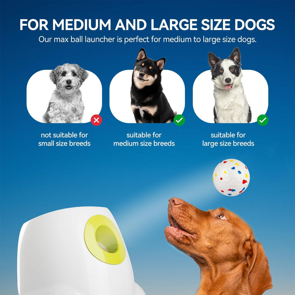 Interactive Automatic Dog Ball Launcher with 3 Balls