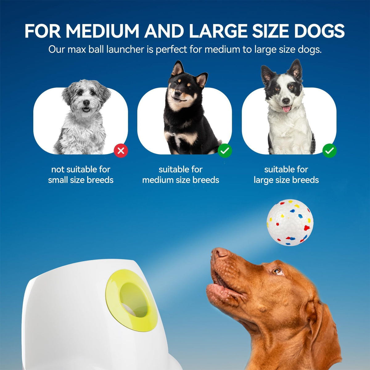 Interactive Automatic Dog Ball Launcher with 3 Balls