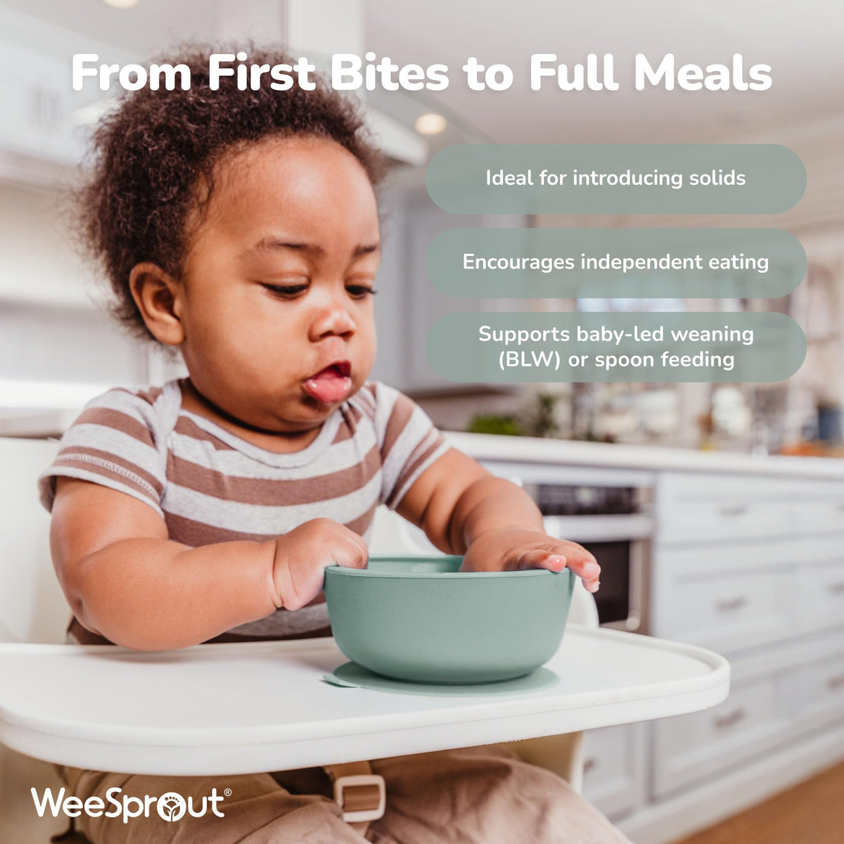 Baby Food Prep, Storage & Feeding Set