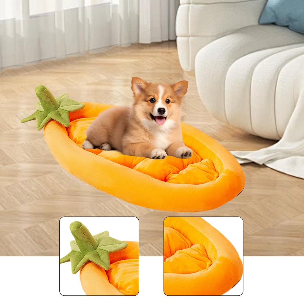 Soft Washable Pet Sofa Bed for Dogs & Cats