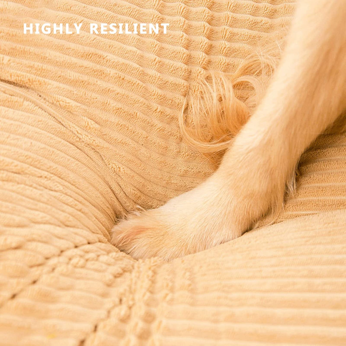 Corduroy Donut Dog Bed with Washable Cushion