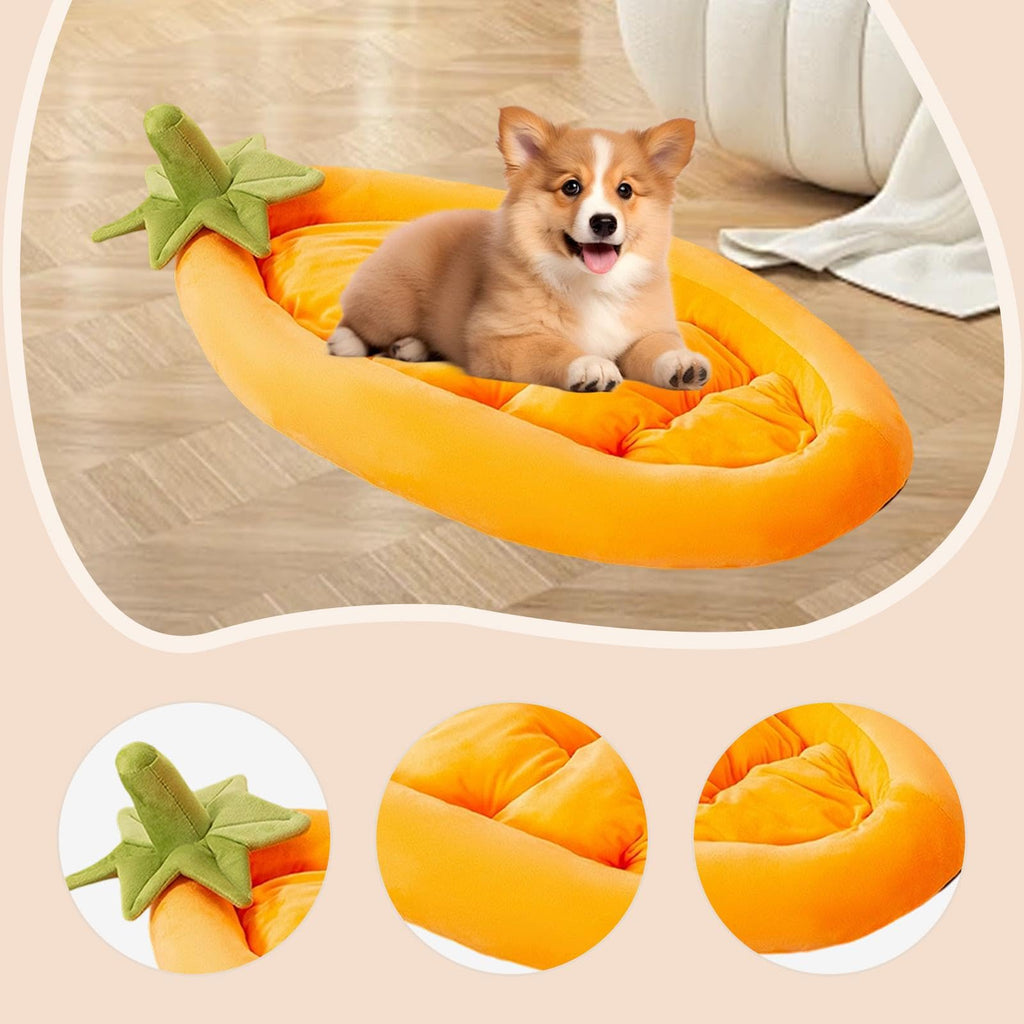 Soft Washable Pet Sofa Bed for Dogs & Cats