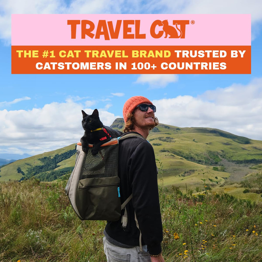 Convertible Ventilated Mesh Cat Carrier Backpack