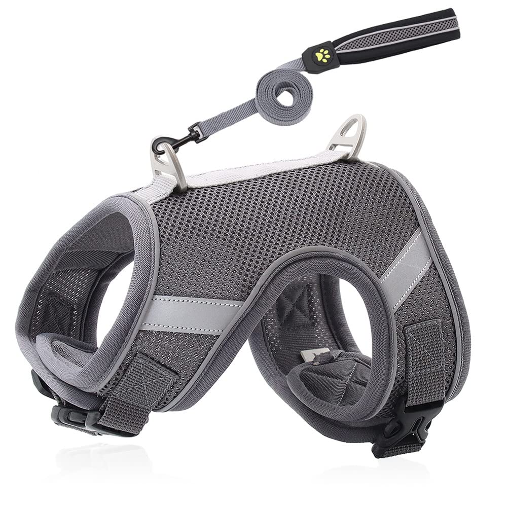 Reflective Breathable Mesh Dog Harness & Leash Set