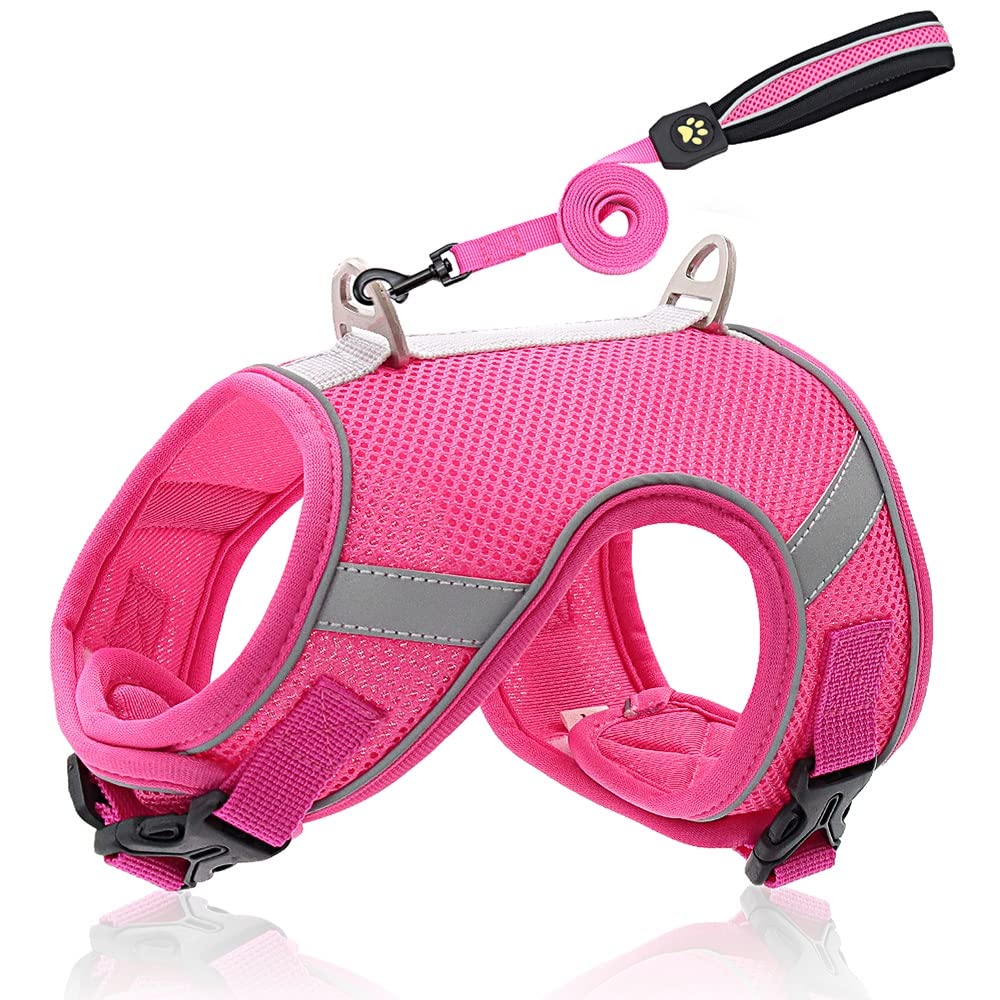Reflective Breathable Mesh Dog Harness & Leash Set