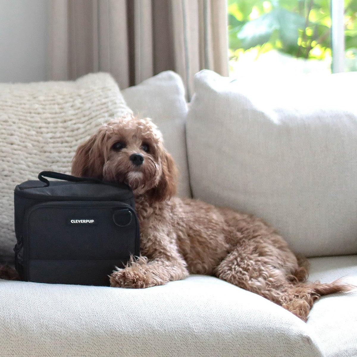 7-Piece Portable Dog Food Travel Kit
