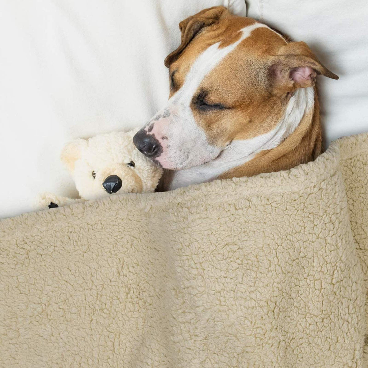 2-Pack Fluffy Fleece Pet Blankets for Dogs & Cats