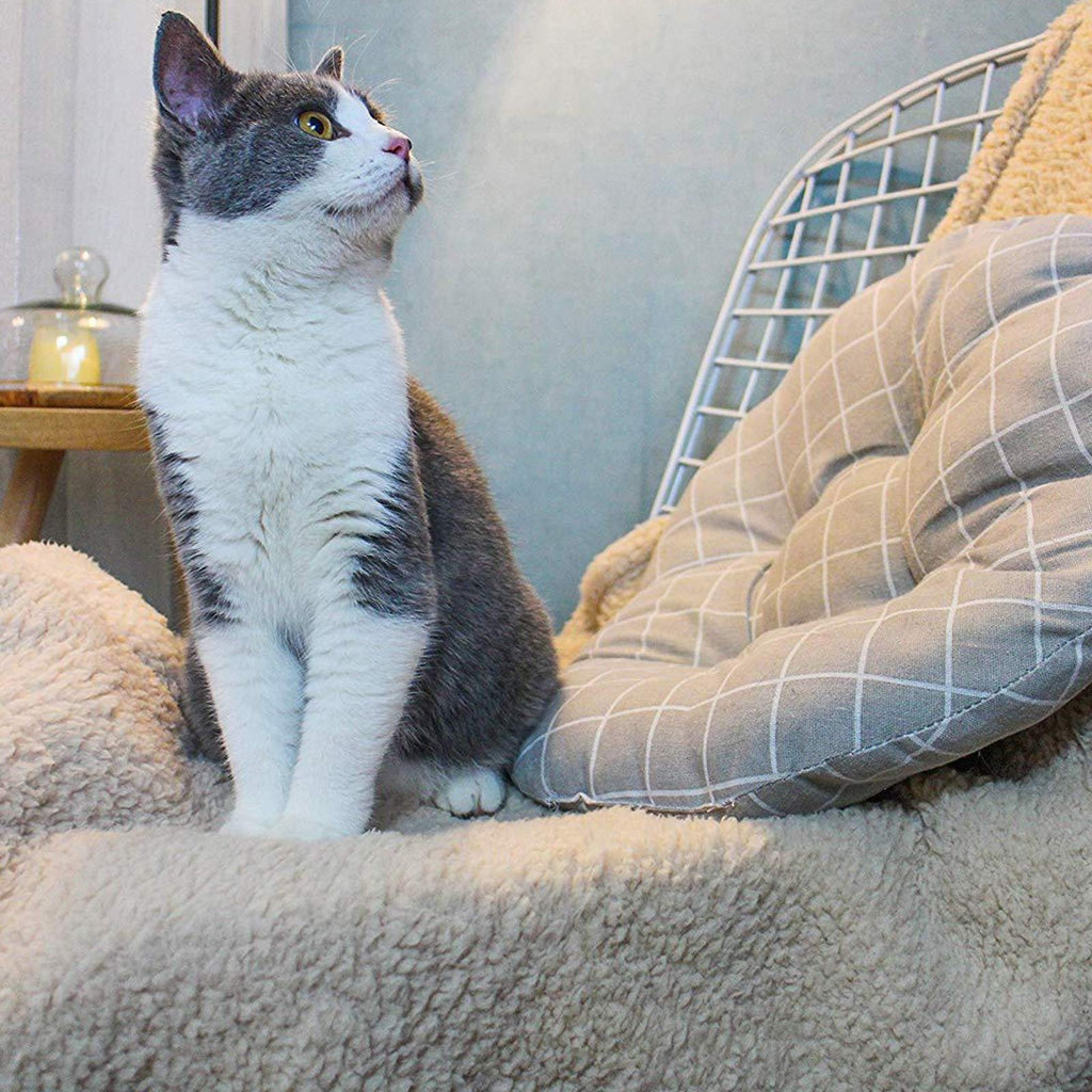 2-Pack Fluffy Fleece Pet Blankets for Dogs & Cats