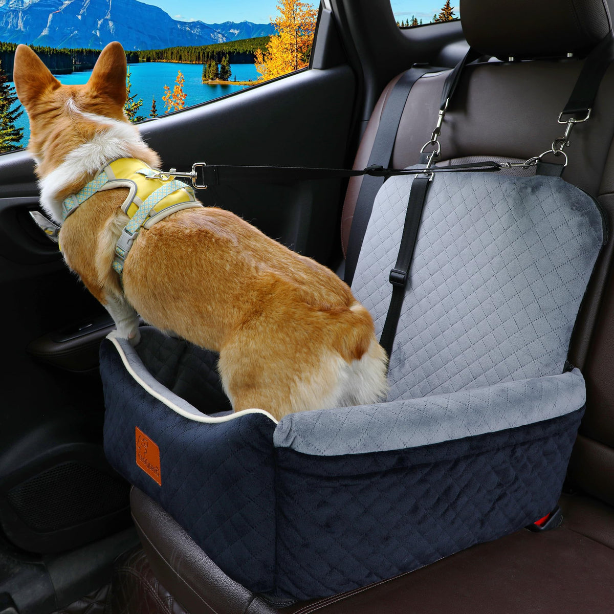 Dog Car Seat for Small Dogs&Dog Bed 2 in1