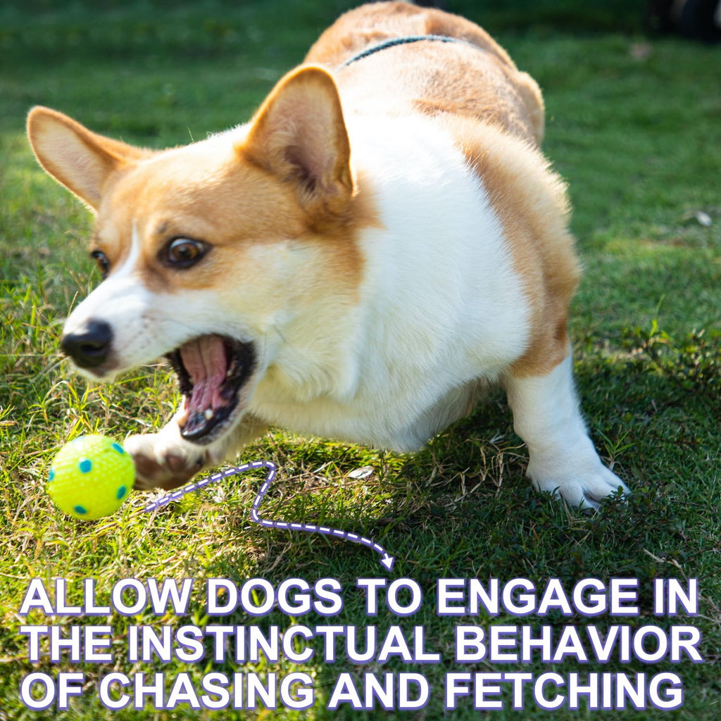 WIGGLYTAIL Automatic Ball Launcher for Dogs