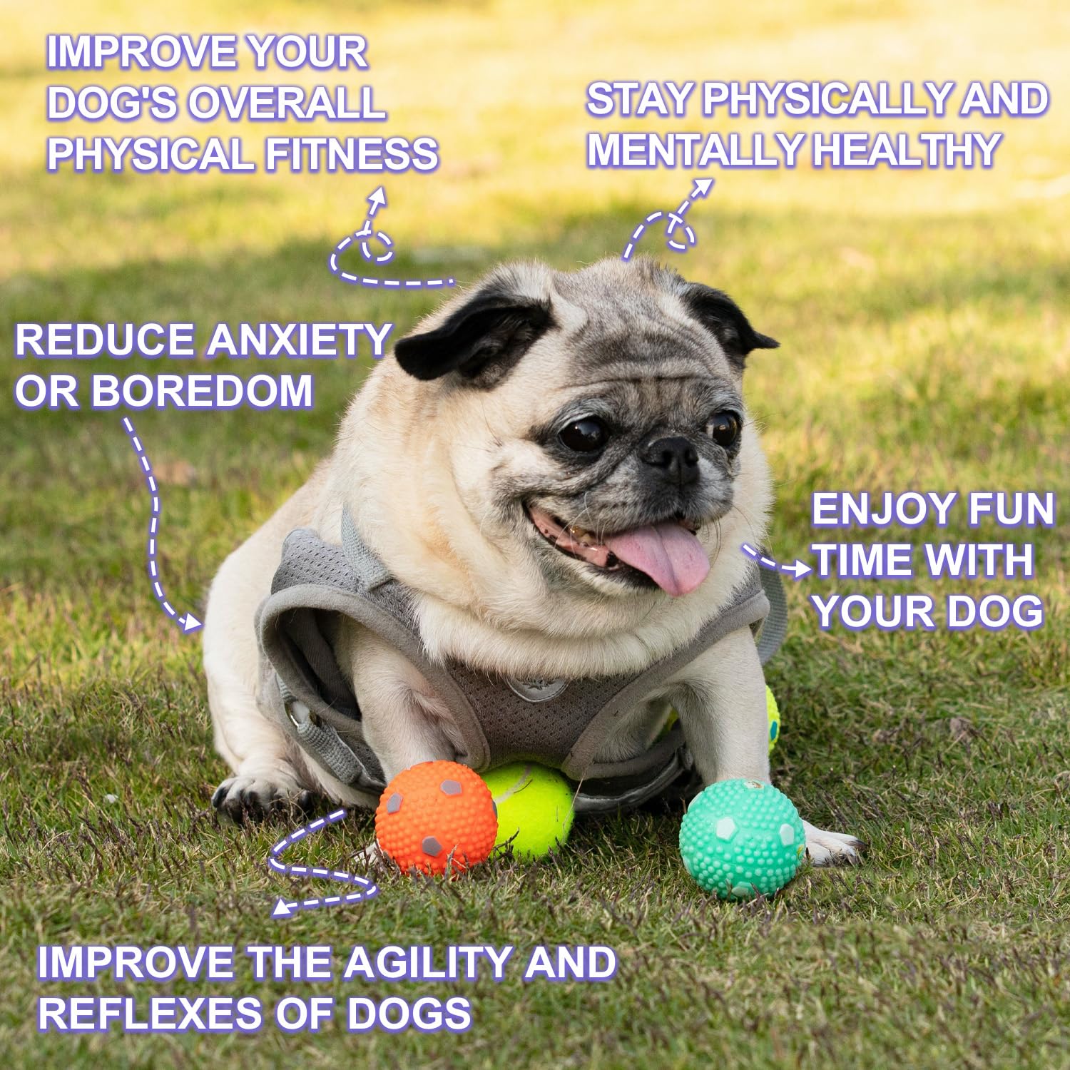 WIGGLYTAIL Automatic Ball Launcher for Dogs