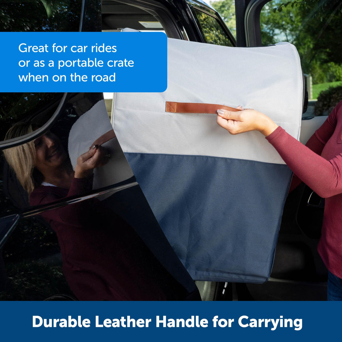 PetSafe Happy Ride Collapsible Travel Dog Crate