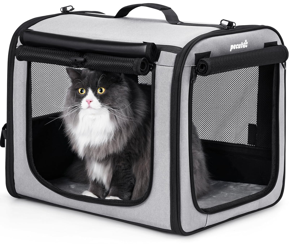 Dog Car Carrier Light Weight
