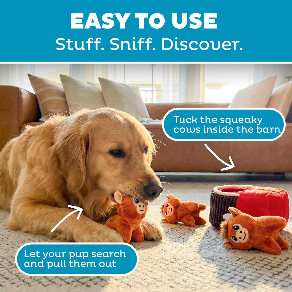 Outward Hound Squeakin’ Plush Replacement Dog Toys